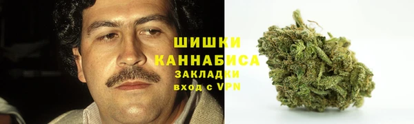mix Белокуриха