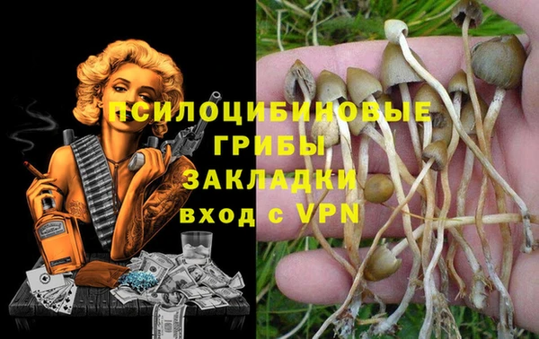 mix Белокуриха
