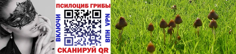 blacksprut ссылки  Хабаровск  Галлюциногенные грибы MAGIC MUSHROOMS 